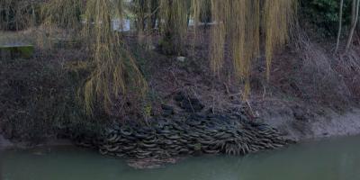 Tires embedded in the bank of the Duwamish River in Seattle. The river contains PCBs and other pollutants. Credit David Ryder for The New York Times