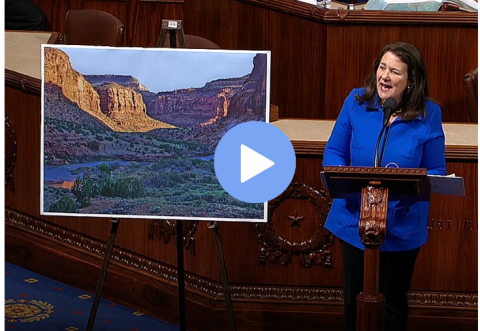 Congresswoman Diana DeGette