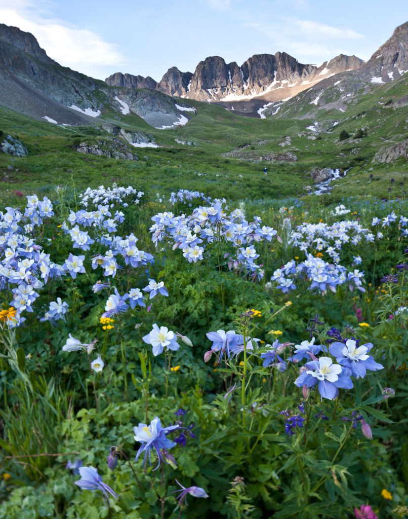 Handies Peak (Photo Credit: Bob Wick)